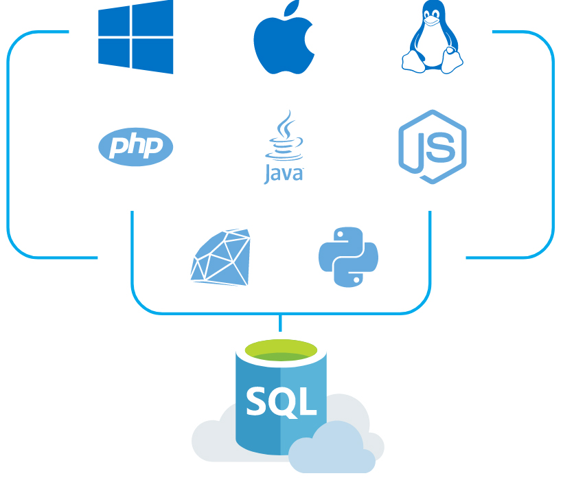 SQL Developer